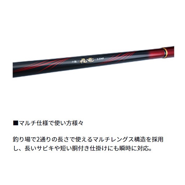 21小継飛竜